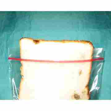 Sandwich Zipper Packaging Bag