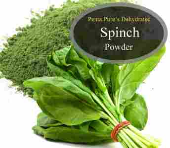 Spray Dried And Dehydrated Spinach Powder