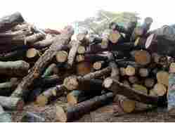 Best Price Rubber Wood