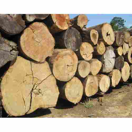 Natural Timber Wood Log