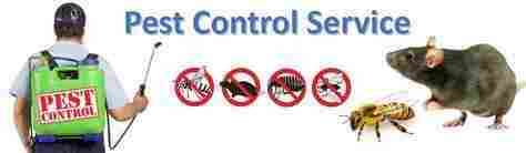 Indoor Pest Control Services