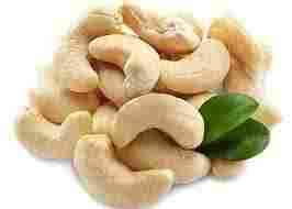 Fresh Cashew Nuts for Health Benefits