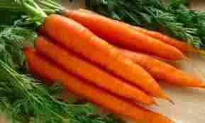 Fresh Red Carrots For Vegetable