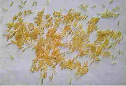 1121 Golden Premium Basmati Sella Rice