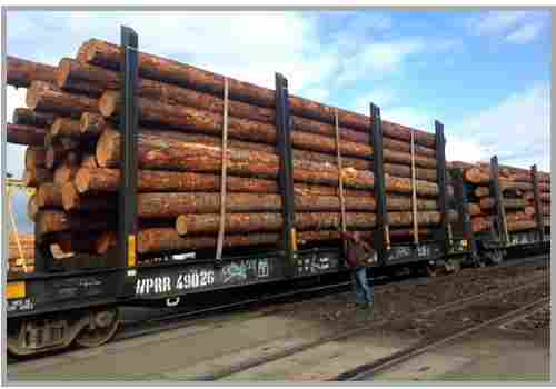 Good Strength Pine Wood Logs