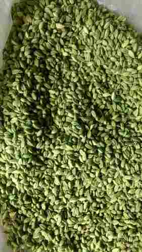 Fresh Green Cardamom Spice