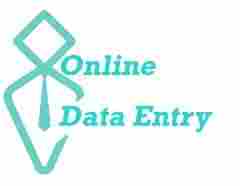 Non Voice Online & Offline Data Entry Work Service