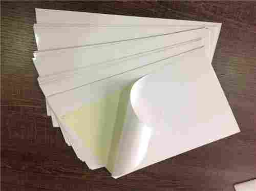 Matte Gumsheet Self Adhesive Paper