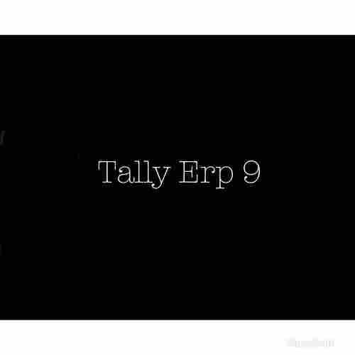 Tally Erp 9 Software Service