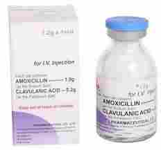 Amoxicillin Inj