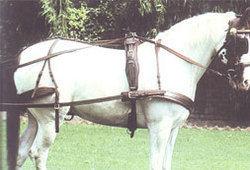 Quality Tested Horse Harness