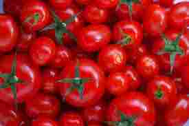 Red Color Organic Fresh Tomato