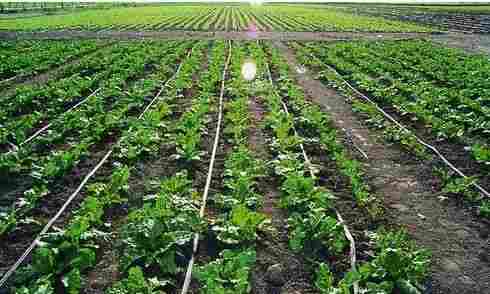Quality Tested Agriculture Irrigation System