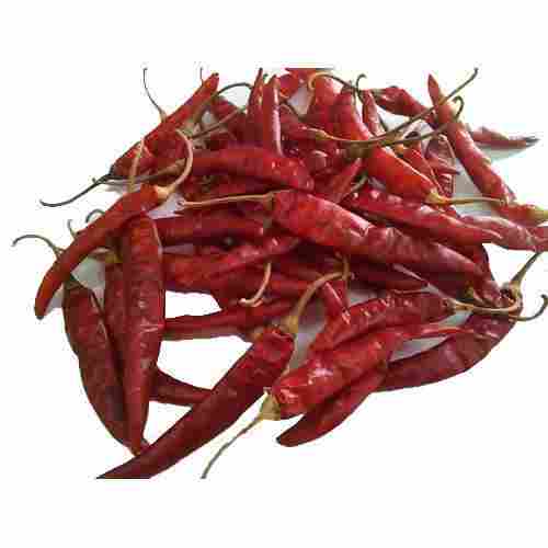 Red Hot Indian Chili Pepper
