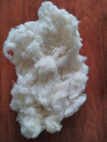 Raw Cotton for Textile Yarn