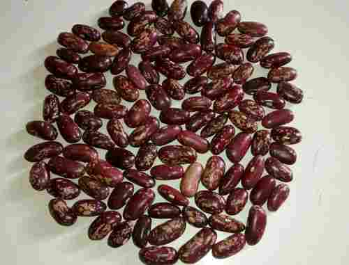 High Grade Red Kidney Beans