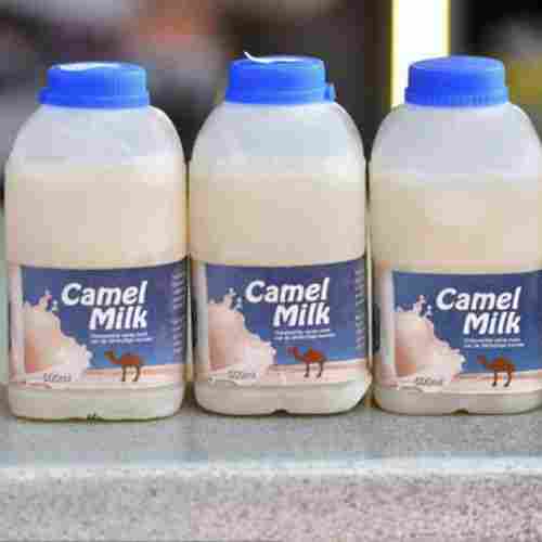 Refreshing Taste Camels Milk With Rich Nutrient