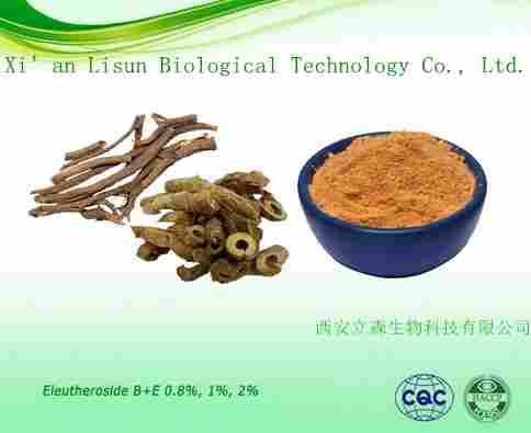 Natural Siberian Ginseng Root Extract 0.8% 1.0% 1.5%