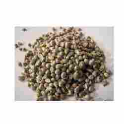 Low Price Green Millet Bajra