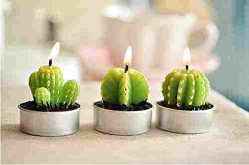 Cactus Tea Light Candle Set