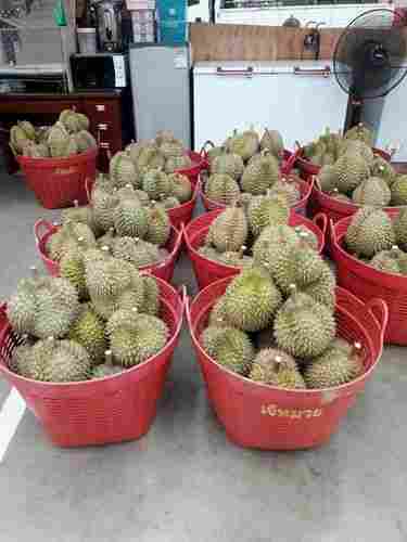 Fresh And Natural Durian Fruit