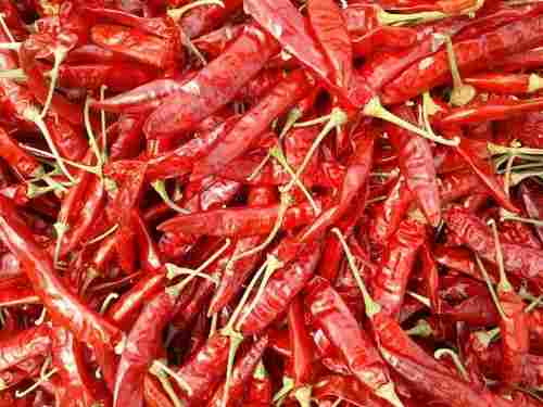 Rich Aroma Dry Red Chillies