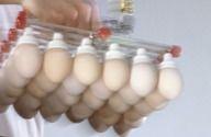 Vacuum Egg Lifter System