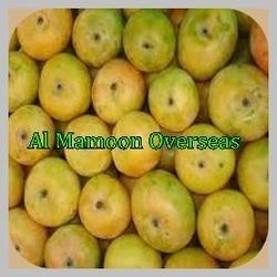 Fresh and Pure Banganapalli Mango
