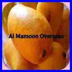 Fresh and Pure Kesar Mangoes