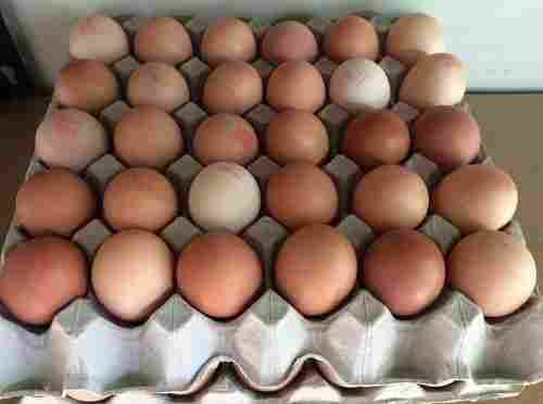 Fresh Farm Chicken Eggs