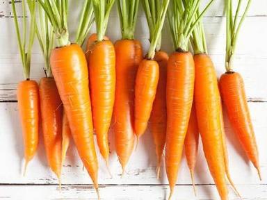Fresh and Healthy Red Carrot