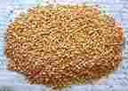 Maize Cattle Feeds