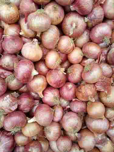 Pure Fresh Yellow Onion