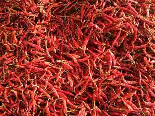 S 17 Teja Extra Spicy Red Chilli