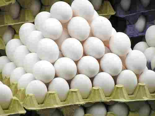 Fresh White   hicken Eggs