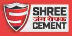 High Performance Shree Cement