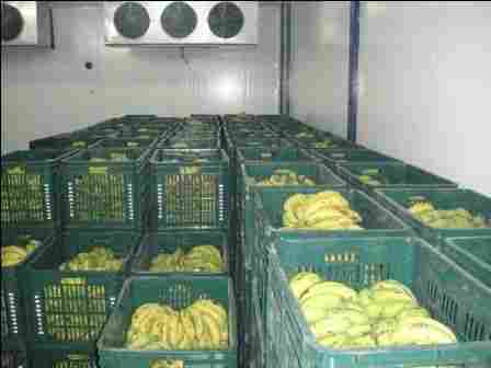 Cold Storage For Fruits And Vegetables