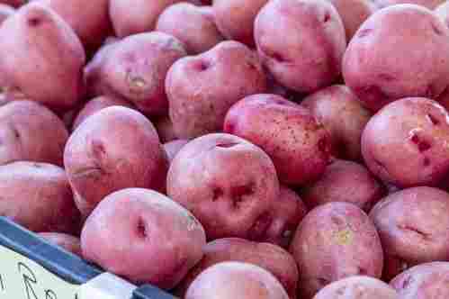 Farm Fresh Red Potato