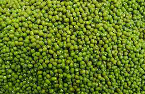 Organic Green Moong Lentils