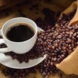 Natural Organic Coffee Seeds