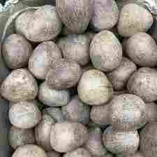 Hygienically Ready Desiccated Coconut Copra
