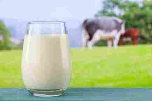 Pure White Cow Milk