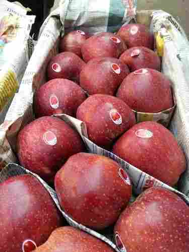 Fresh Organic Red Apples