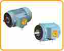 Industrial Face Mounted Motors