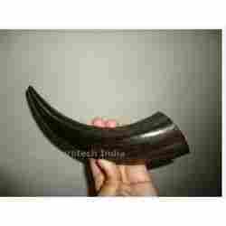 Buffalo Horn With Long Life