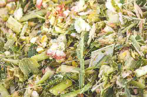 Corn Silage - Feed Supplements