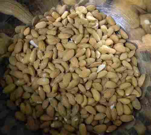 High Grade Almond Nuts