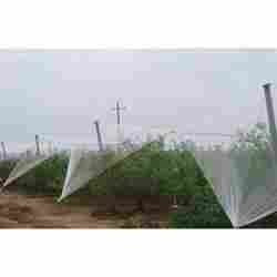 Anti Hall Net for Agriculture