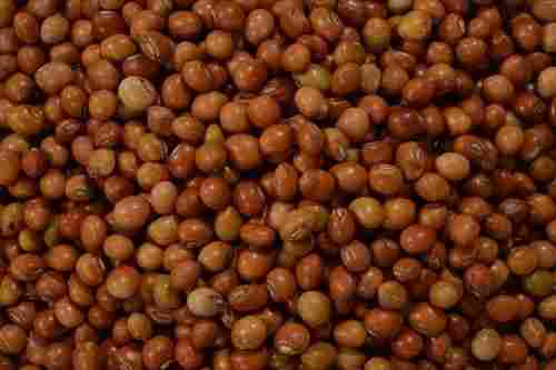 Fresh Red Toor Dal