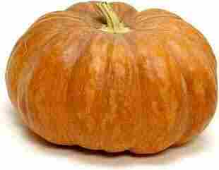 Medium Size Fresh Pumpkin